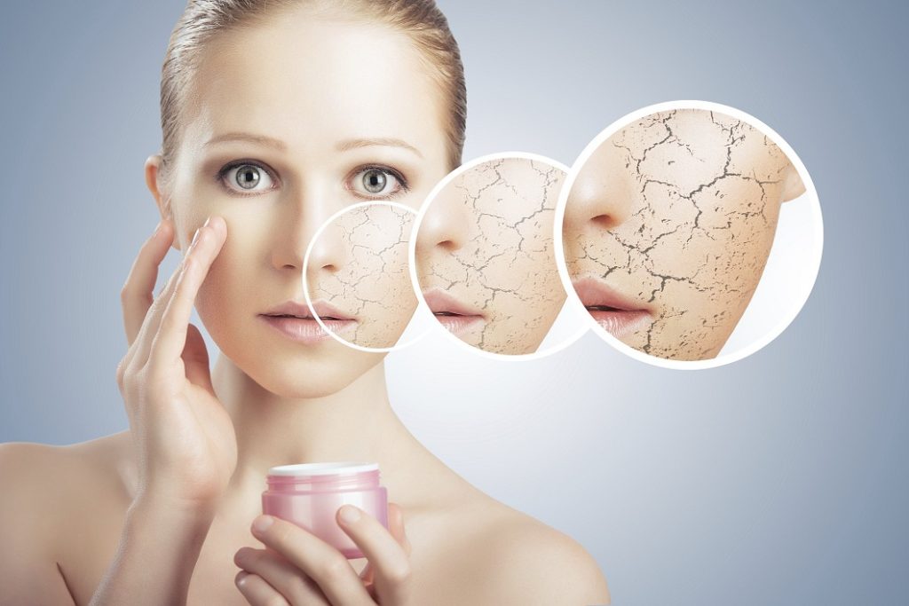 పొడి చర్మం కోసం ఫేస్ క్రీమ్‌లు – Dry skin face creams